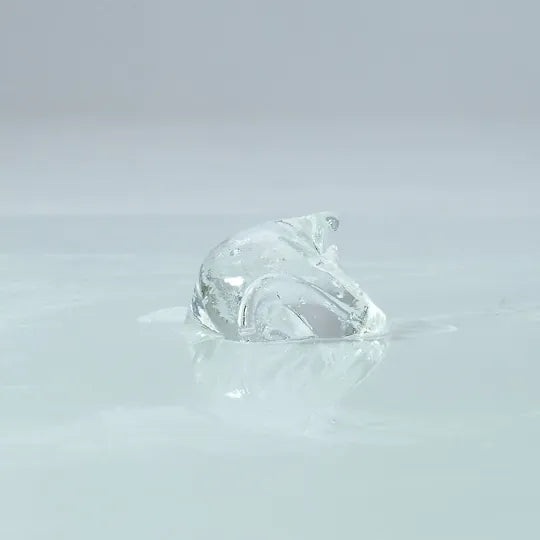 SSI JAPAN 姫ころし 敏感粘膜之極【女性用】12g - Luvlab
